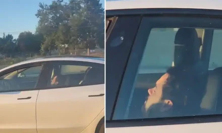 चौंका देने वाला!  हाईवे पर गाड़ी चलाते हुए सो गया टेस्ला का ड्राइवर, आगे क्या हुआ: देखें वीडियो