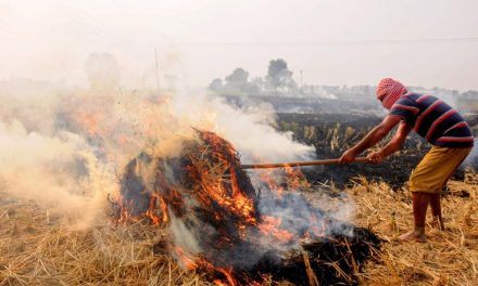 ‘चिंता का विषय’: पंजाब में पराली जलाने की बढ़ती घटनाओं पर सीएक्यूएम