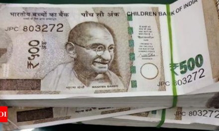 ‘डबल कैश’ के जाल में फंसा पुणे का बिजनेसमैन, मिले 40 लाख के टॉय बैंक नोट |  मुंबई समाचार – टाइम्स ऑफ इंडिया