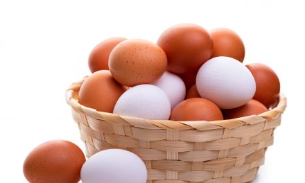 क्या ब्राउन अंडे सफेद अंडे से बेहतर हैं?