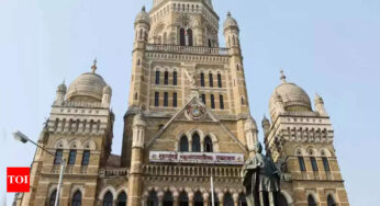निजी परिसर में एक पेड़ को काटने के लिए बीएमसी 900 रुपये से 4,000 रुपये तक शुल्क लेती है; विशेषज्ञ ‘अत्यधिक दरों’ पर सवाल उठाते हैं | मुंबई समाचार – टाइम्स ऑफ इंडिया