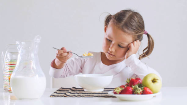 Kids' food plate should look like this, say Harvard experts