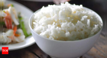 Does rice make you fat? Expert answers – Times of India