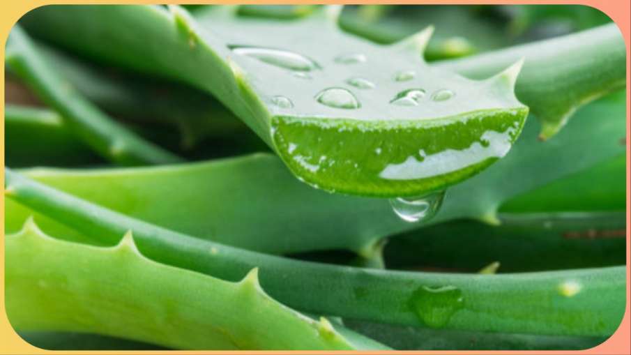 aloevera_remedies