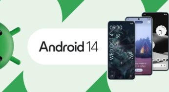 Android 14 Rolls Out On Pixel Devices: What Are New Features, And When Will Other Phones Get the Update?