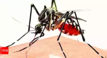Boy (13) Dies In School, Had Dengue Recently | Mumbai News – Times of India