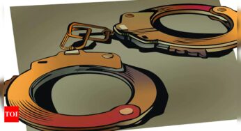 मुंबई: पंजाब नेशनल बैंक का शाखा प्रबंधक धोखाधड़ी के आरोप में गिरफ्तार | मुंबई समाचार – टाइम्स ऑफ इंडिया