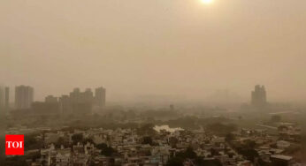 खराब वायु गुणवत्ता के जोखिमों को कम करने के लिए जीवनशैली में बदलाव – टाइम्स ऑफ इंडिया