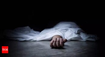 मलाड स्थित अपने घर में भाई द्वारा फूलदान से हमला किए जाने के बाद एक व्यक्ति जिंदगी और मौत के बीच संघर्ष कर रहा है, जबकि उसकी भाभी की मौत हो गई है | मुंबई समाचार – टाइम्स ऑफ इंडिया