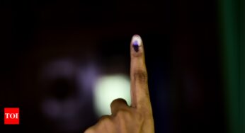 मुंबई का मतदान प्रतिशत 2019 की तुलना में 54.1% थोड़ा कम है | मुंबई समाचार – टाइम्स ऑफ इंडिया