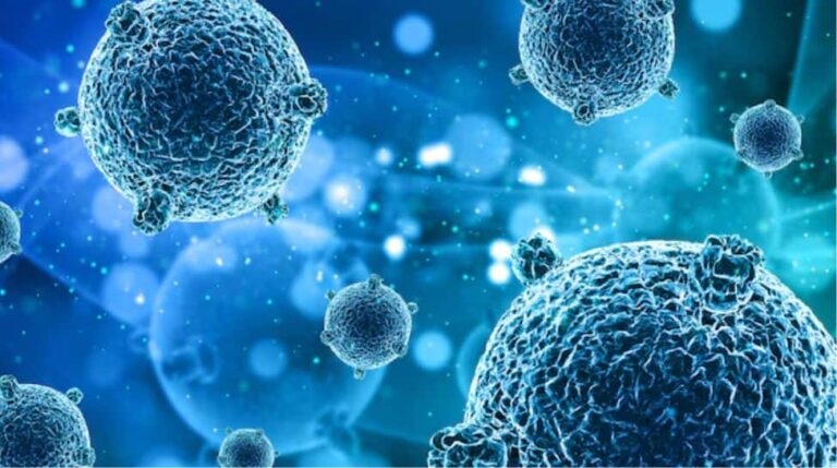 क्या आप जानते हैं कि मस्तिष्क खाने वाला अमीबा मस्तिष्क में कैसे प्रवेश करता है?