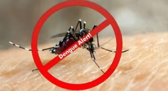 डेंगू अलर्ट: डॉक्टर ने मस्तिष्क और तंत्रिका तंत्र पर गंभीर असर की चेतावनी दी