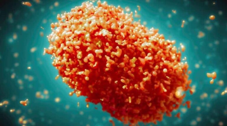 एमपॉक्स वायरस: अफ्रीका में घातक मंकीपॉक्स का प्रकोप, डब्ल्यूएचओ वैश्विक आपातकाल घोषित कर सकता है