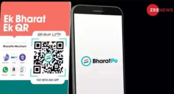 भारतपे ग्रुप ने FY24 में 209 करोड़ रुपये का EBITDA घाटा दर्ज किया है