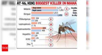 मानसून के बीच मुंबई में डेंगू और लेप्टोस्पायरोसिस से होने वाली मौतों में बढ़ोतरी | – टाइम्स ऑफ इंडिया
