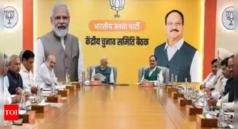 'भाजपा नए चेहरों के साथ महाराष्ट्र चुनाव में उतरने को लेकर आश्वस्त नहीं' | मुंबई समाचार – टाइम्स ऑफ इंडिया