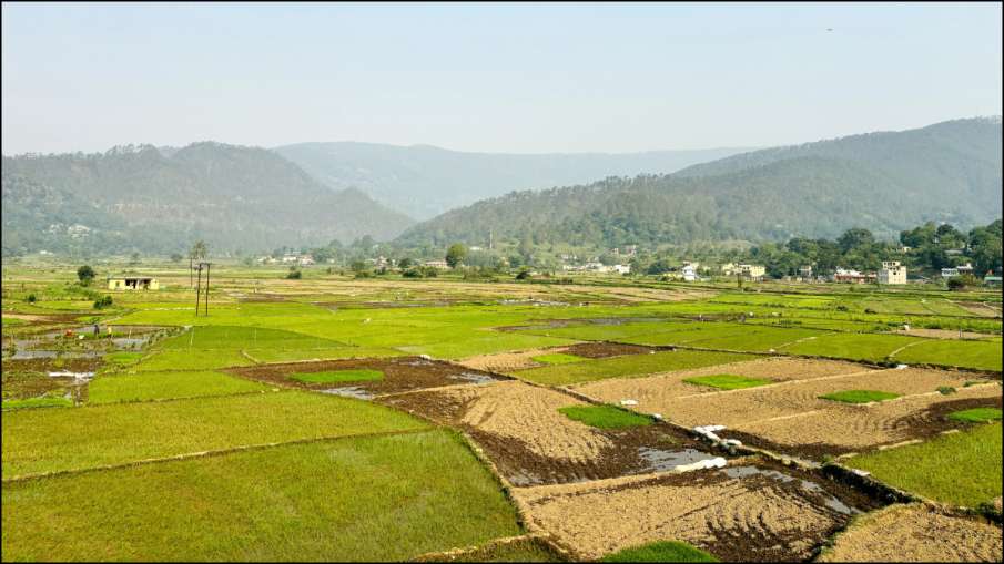 चौखुटिया की पहाड़ियाँ