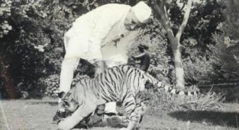 प्रधानमंत्री रहते हुए कई बार हुई थी नेहरू की हत्या की कोशिश, जानिए कैसे बच गई थी जान – इंडिया टीवी हिंदी