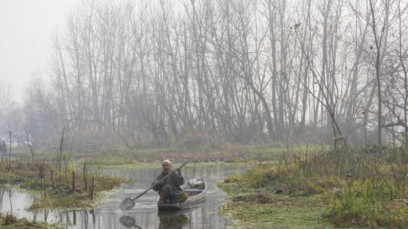 कश्मीर घाटी में भी ठंड का प्रकोप चरम पर है। यह तस्वीर सरकारी इलाके के बाहरी इलाके की है। अंचर झील में कमल के तने की कटाई के दौरान नाव एक किसान। कमल का ताना (नादरू) कश्मीर घाटी में विभिन्न जल रिओबा में ले जाया जाता है, मुख्य रूप से डल झील, निगीन झील, अंचर झील और मानसबल झील में। मिट्टी में तेला एक स्वादिष्ट व्यंजन है, नदरू या कमल का ताना वाजवान में बहुत स्वादिष्ट होता है और विटामिन सी की प्रचुरता के कारण इसमें रोगज़नक़ क्षमता हासिल होती है।