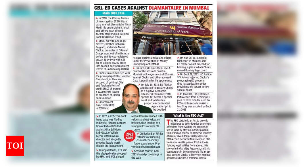 चोकसी बेल्जियम में आयोजित किया गया, लेकिन एक चुनौती लौटाएं - टाइम्स ऑफ इंडिया 