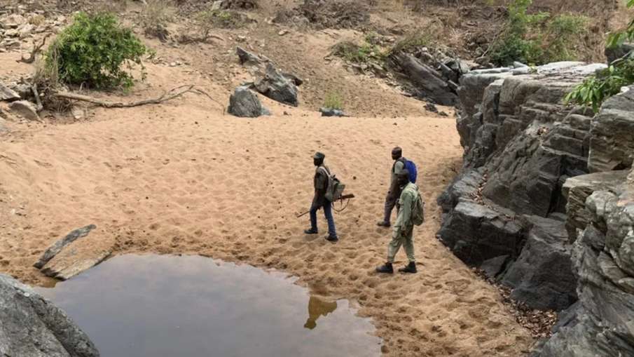 अफ़सरी शयरा