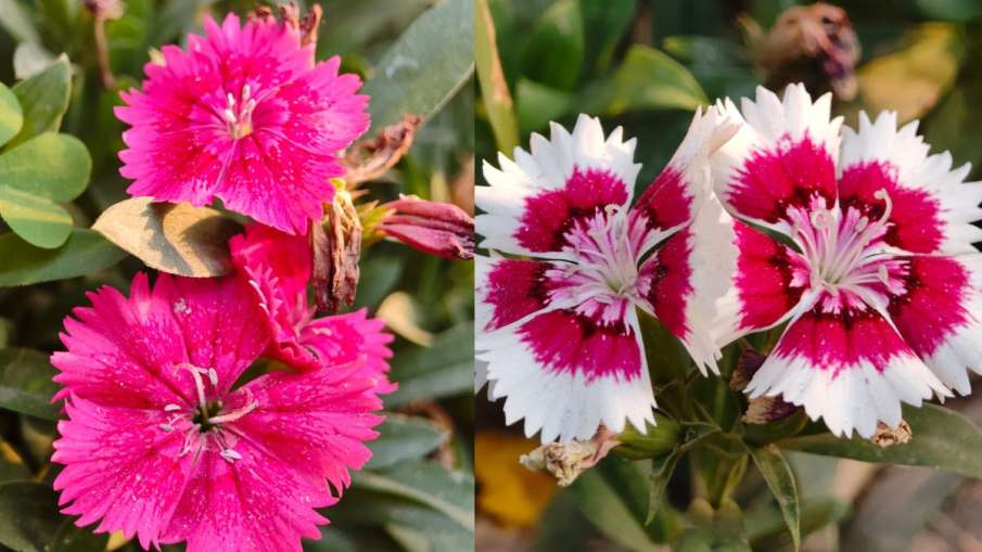 कुछ भी नहीं, 3 ए प्रो, कुछ भी नहीं 3 ए प्रो समीक्षा, कुछ भी नहीं 3 ए प्रो समीक्षा हिंदी में, कुछ भी नहीं 3 ए प्रो कुछ भी नहीं, 3 ए प्रो, कुछ भी नहीं 3 ए प्रो समीक्षा, कुछ भी नहीं 3 ए प्रो समीक्षा हिंदी में, कुछ भी नहीं 3 ए प्रो