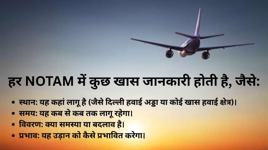 नोटम नारलस