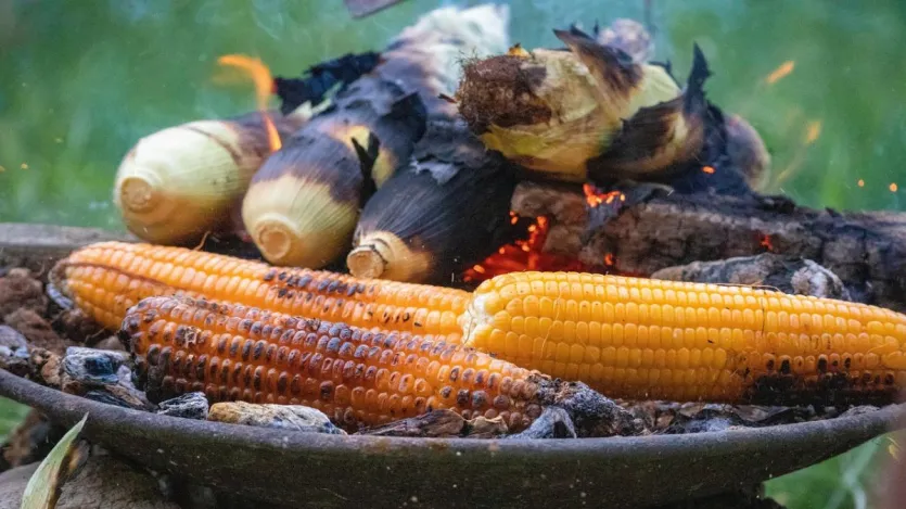 अफ़सद का नाम कुल ranthauthaurीय उत e इसकी हिस हिस righamair। Vasak की kasaut औ मिट मक मक की की खेती के के के लिए लिए लिए लिए लिए लिए लिए के के के के के के खेती खेती खेती खेती की की की की की की