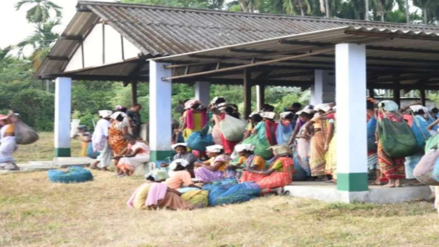 अफ़र्मा