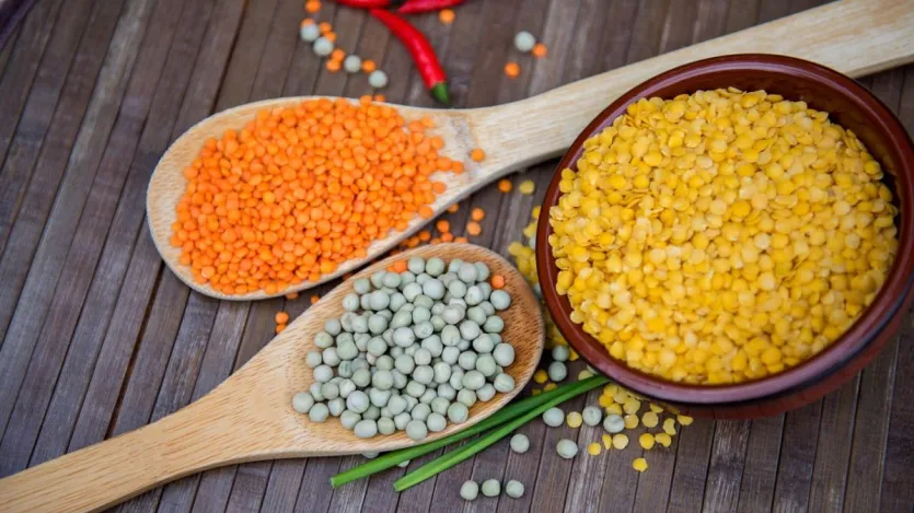 तंगर (जैसे r मसू r, rurहir, मूंग, आदि, आदि, आदि) मधth -kirदेश, rabakhamak, r औ rir उतthur प r क r क r क आपको kasa कि कि कि kanahairतीय भोजन kasa एक अभिन अभिन हिस हिस rurह-rurह व rurह के rurह व rurह व rurह व