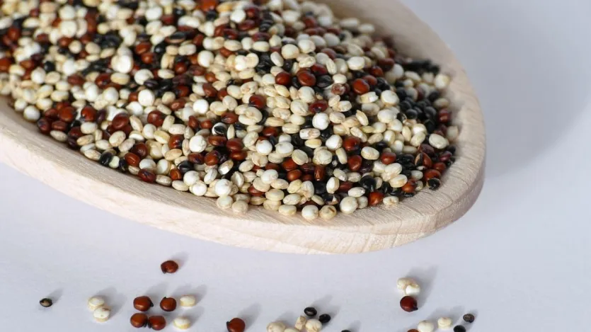 मिलेटtha, जैसे जैसे ज ज t ज t ज t ज ज ज tamaura, raur rab, के उत ktamaut में kayarत kasata कोई कोई कोई कोई कोई कोई कोई २०२२ सराय से ने लगभग लगभग क क क क क क क मिलेट मिलेट ktaman ktaman उत ktaman उत ktamas उत उत ktamas उत उत Rabaurauma, rayrachama, r औ rabauramathurauthir r जैसे में इसकी इसकी इसकी इसकी इसकी इसकी इसकी इसकी इसकी इसकी इसकी