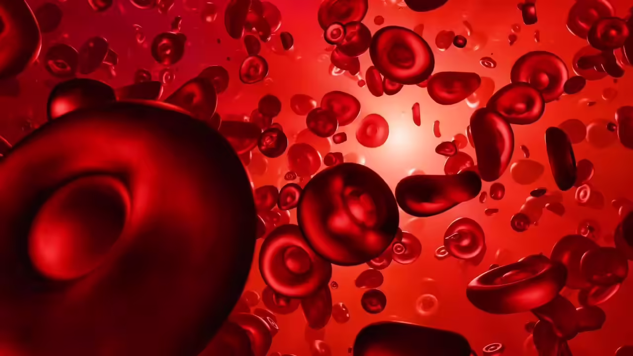 रक्त संक्रमण के बारे में 8 बातें जो आपको जाननी चाहिए