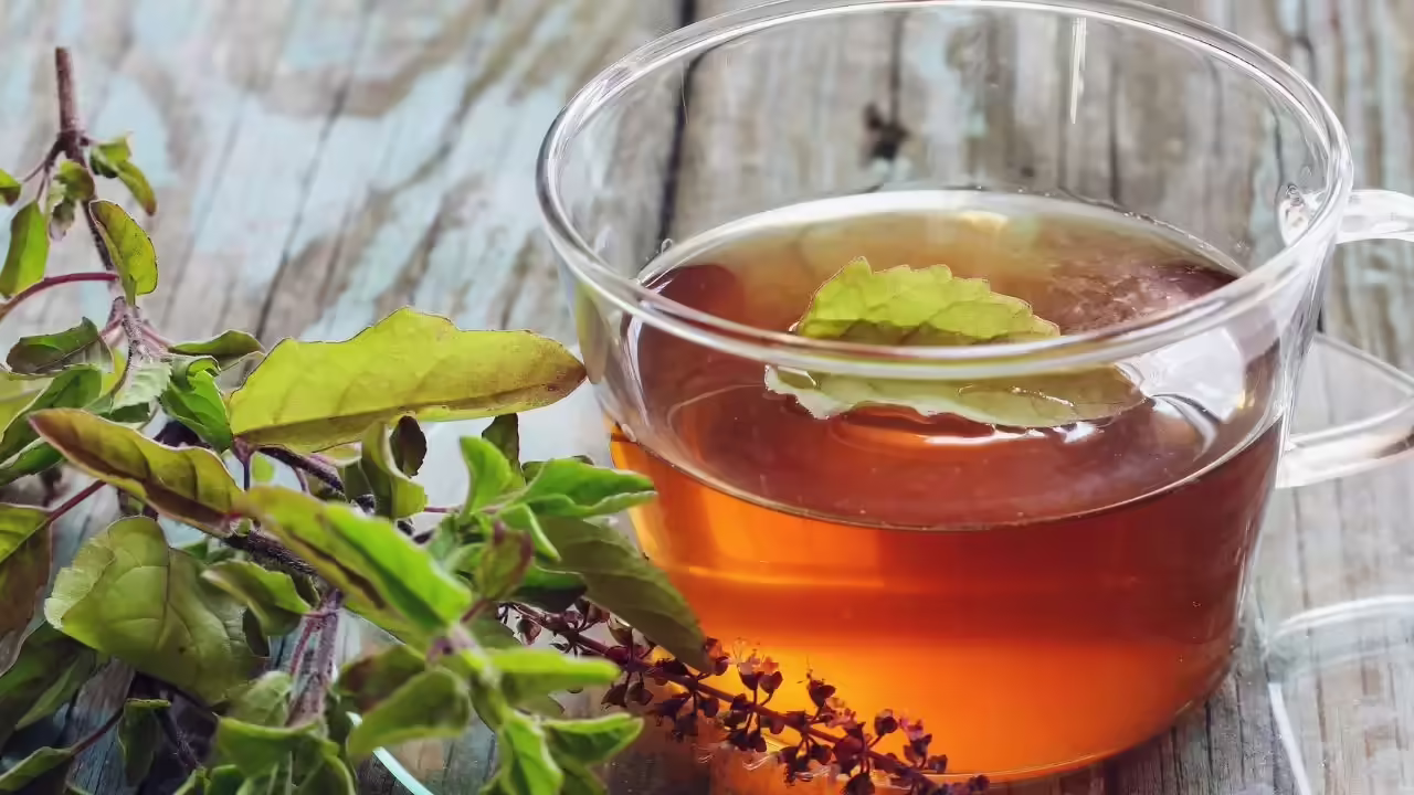 ​तुलसी चाय - तनाव और प्रतिरक्षा समर्थन