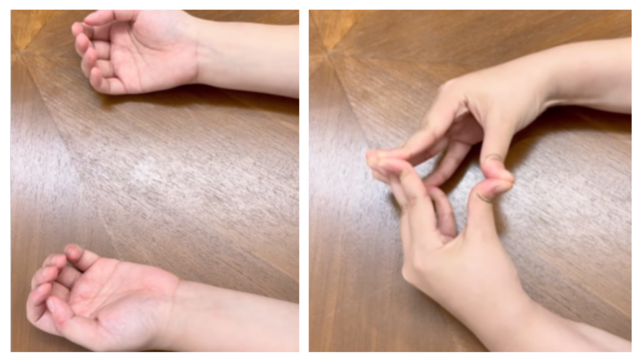 फोटो साभार: इंस्टाग्राम/@docgerrytan