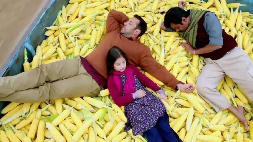 बजरंगी भाईजान: सलमान की खास बात यह है कि जब उनका तालमेल भी फिल्मों के साथ होता है तो फिर एक जादुई नजर आता है और सलमान की फिल्में वो रिकॉर्ड तोड़ देती हैं जो सबसे अलग होती हैं। डायरेक्टर कबीर खान के साथ फिल्म 'बजरंगी भाईजान' में सलमान की एक्टिंग से लोगों ने सुपरस्टार में रोया था। नवाजुद्दीन सिद्दीकी के साथ दमदार कहानी के साथ ये फिल्म 600 करोड़ का कलेक्शन कर पाई थी। दस्तावेज़ बॉक्सऑफ़िस इंडिया के अनुसार। फिल्म साज-सज्जा पर देख सकते हैं। (छवि स्रोत-आईएमडीबी)