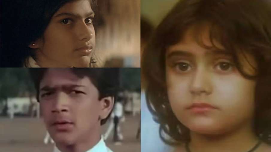 मिस्टर इंडिया मिस्टर इंडिया