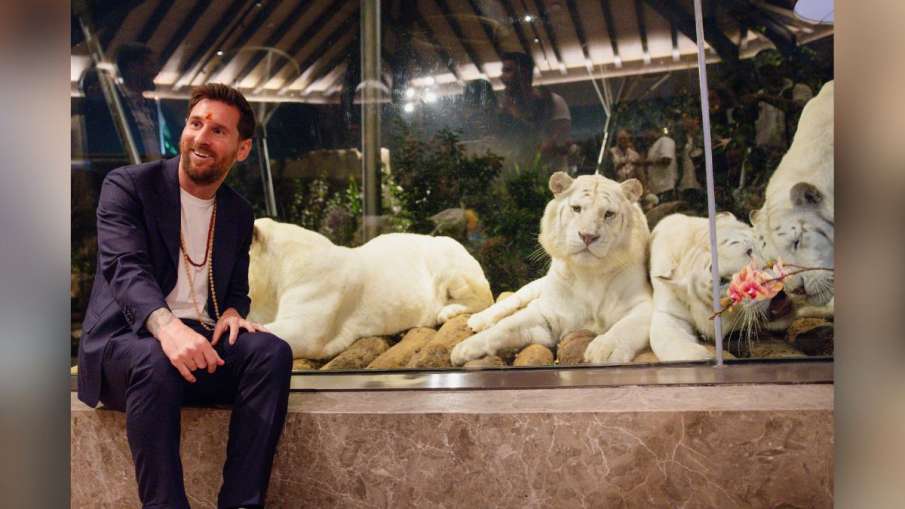 वंटारा में टूटे के साथ फुटबॉलर मेसी की तस्वीर। 