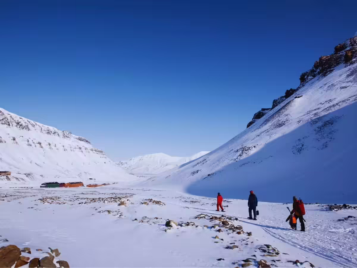पर्यटन