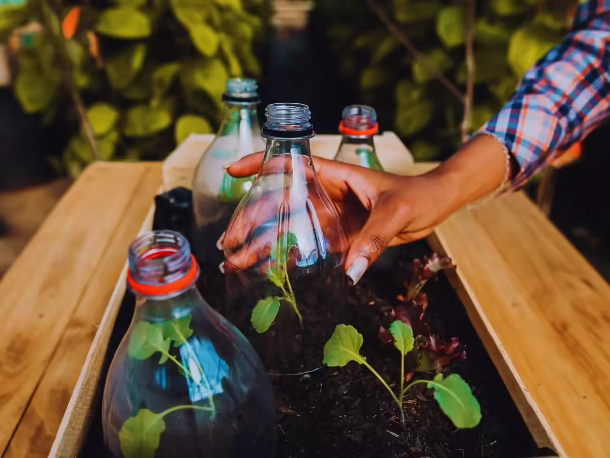 पुन: उपयोग