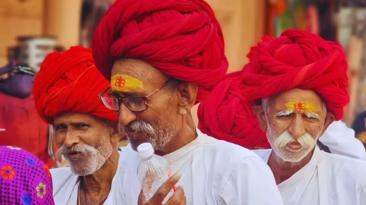 जयपुर होली