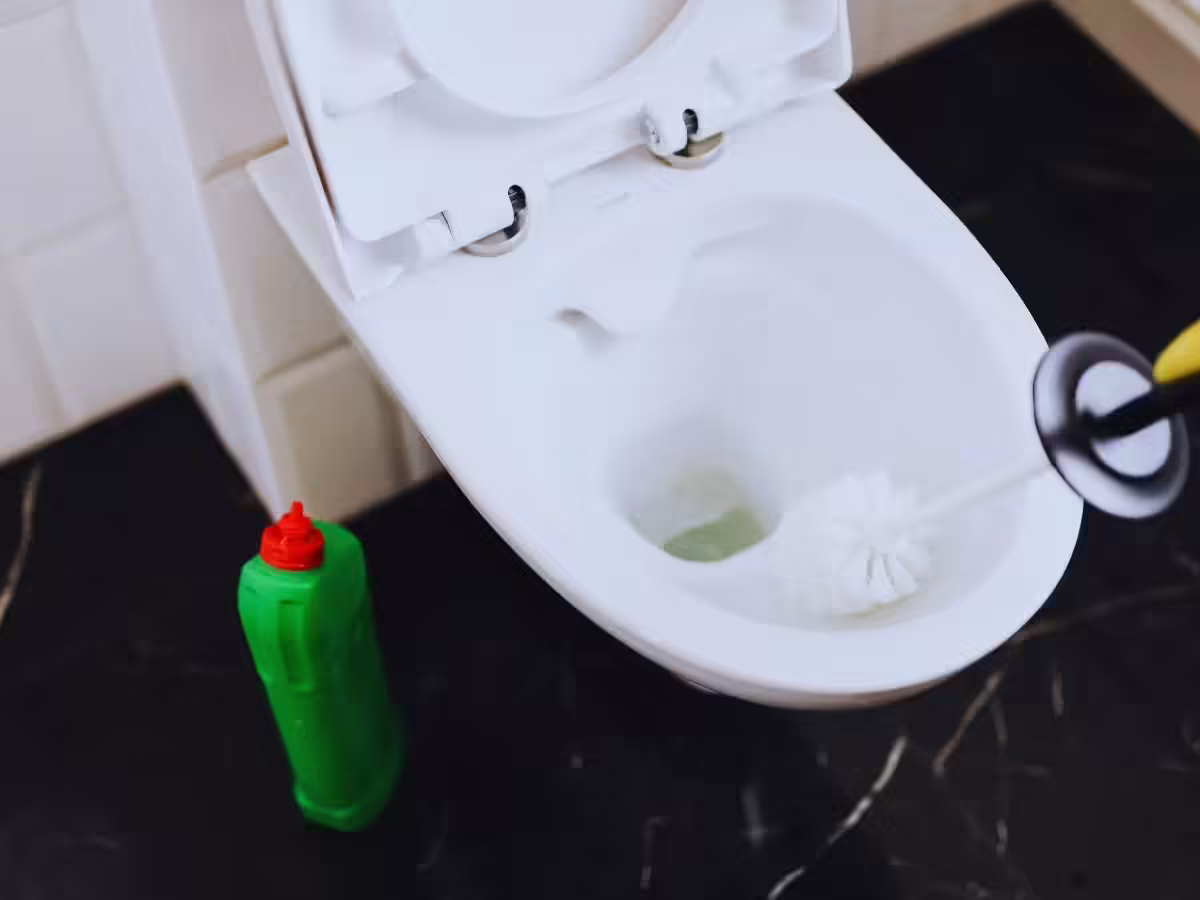 टॉयलेट ब्रश