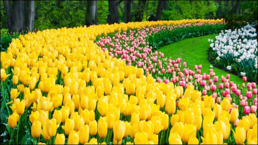 ट्यूलिप गार्डन 2026