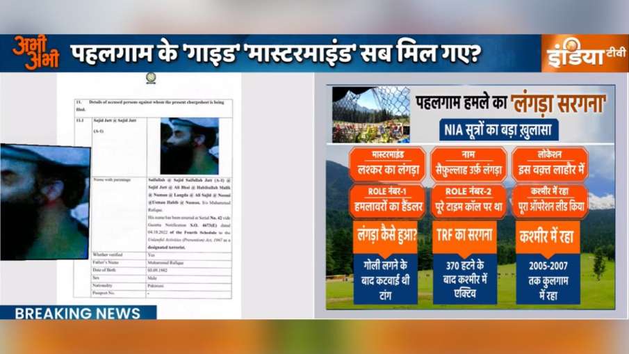 पहलगाम हमला, पाकिस्तान